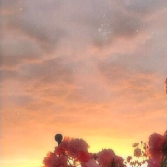 Meet your Posher, Marisol - Picture 1 of 1